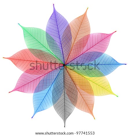 Skeleton leaf abstract background