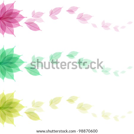 Skeleton leaf abstract background