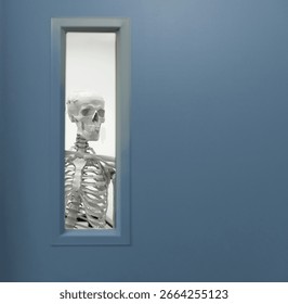 A skeleton looking though a thin vertical window of a blue industrial door 
