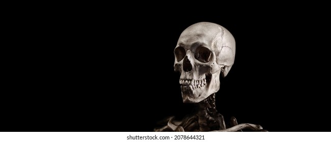 Skeleton of a man on a black background. A real human skeleton