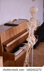 Skeleton playing the piano and a mounted animal on it.