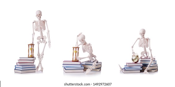 Skeleton Reading Books On White