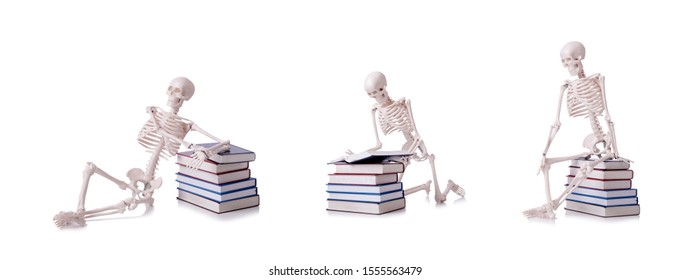 Skeleton Reading Books On White