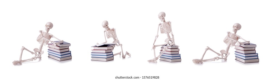 Skeleton Reading Books On White