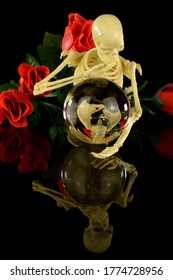 A Skeleton Reflects Into The Crystal Ball To See Life A Little More Clearly.