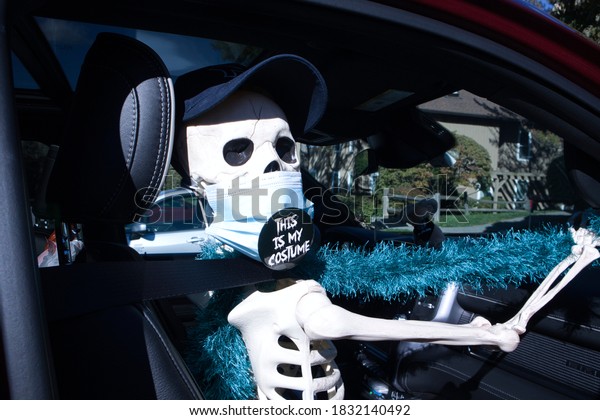 Skeleton Riding Passenger\
Seat Of Car