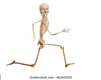 6,438 Skeleton walking Images, Stock Photos & Vectors | Shutterstock