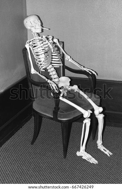 Skeleton Sitting On Chair Healthcare Medical Objects Stock Image