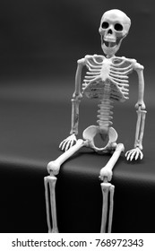 Skeleton Sitting On Ledge Stock Photo 768972343 | Shutterstock