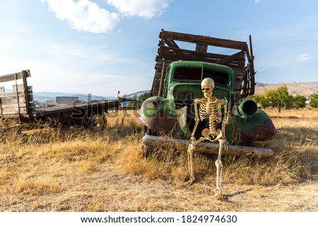 Skeleton sitting on an old green truck in a dead grass field