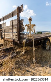 Skeleton Sitting On An Old Truck Bed In A Dead Grass Field