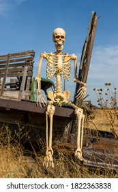 Skeleton Sitting On  An Old Truck Bed In A Dead Grass Field