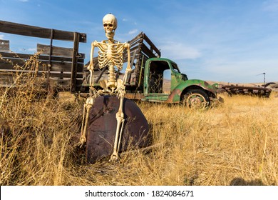 Skeleton Sitting On An Old Truck Bed In A Dead Grass Field