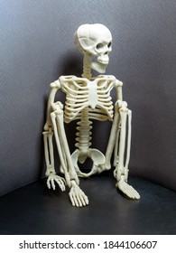 A Skeleton Is Squatting On A Dark Background.