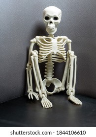 A Skeleton Is Squatting On A Dark Background.