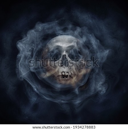 A skeleton's skull and smoke. Horror stories,  phantom,  apparition, wraith, spook phantasm background. Old gothic style.