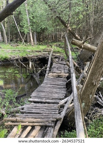 Sketchy log bridge covering stream of water

