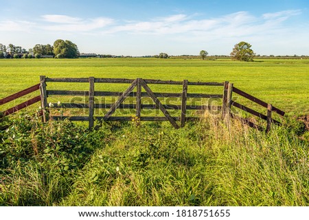Skewed and weathered old wooden gate on the edge of a meadow in a Dutch polder. The cows are in a meadow further on. A blackberry bush and other wild plants grow near the fence. It's summer now.