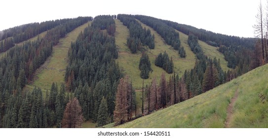 Ski Apache In New Mexico