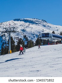 Ski Bunny On Slopes