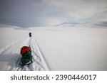 Ski expedition in Dovrefjell National Park, south Norway.