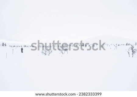 Similar – Peace. Winter Snow Field