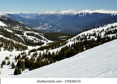 Ski Hill with Evergreen Trees and Beautiful View of Canadian Rockies