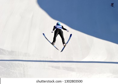 The Ski Jumping