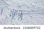 Ski resort. Aerial view of skiers and snowboarders. Winter sports. Snow slope in the mountains for sports. Photo in high resolution for the background.