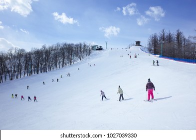 Ski Resort In Hokkaido