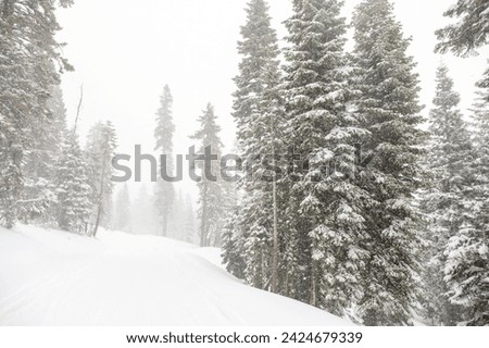 Ski run during a blizzard, White out conditions