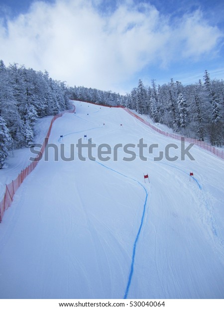 Ski slalom track arranged for competition. Picture\
from above.