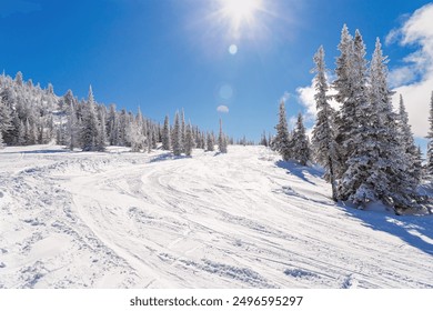 Ski slope on mount Green, freeride, Sheregesh ski resort, winter landscape with bright sun, amazing sunny winter day for sport, for leisure. Snow trails, blue sky, sunlight, fir tree forest, Russia - Powered by Shutterstock