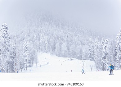 Ski Slope In Rosa Khutor