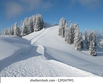 Ski slope and snow covered trees, Wispile