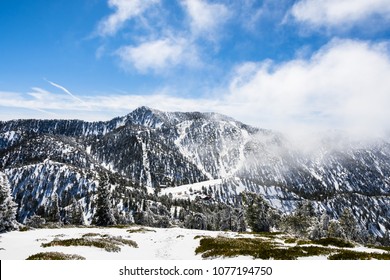 Ski Slopes On Mount San Antonio (Mt Baldy), Fog Rising Up From The Valley, South California