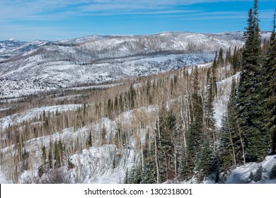 The Ski Slopes Of Steamboat Springs, On Mount Werner Of The Rocky Mountains Of Colorado, Lined By Pine And Aspen Trees. 