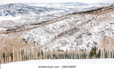 The Ski Slopes Of Steamboat Springs, On Mount Werner Of The Rocky Mountains Of Colorado, Lined By Pine And Aspen Trees. 