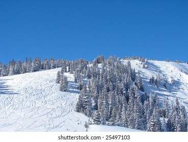 Ski And Snowboard Tracks On A Snowy Hillside