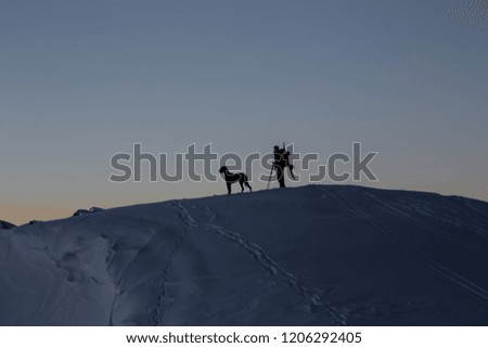 Similar – Image, Stock Photo much blue, much white and a little bit of dog