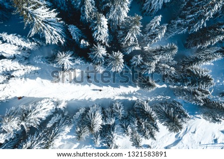 Winter in the Giant Mountains near Pec pod Snezkou, Czech Republic