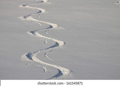 Ski Tracks In The Powder