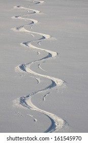 Ski Tracks In The Powder