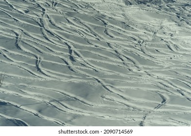 ski tracks through fresh snow