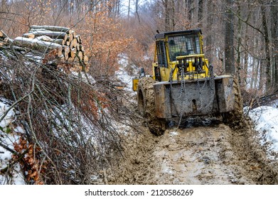 Skidder in the forest. Professional logging tractor. The Carpathian Mountains Poland.