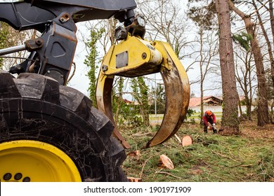 skidder used in the forestry industry to fell and pull large tree trunks