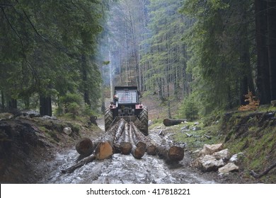 Skidding timber / Tractor is skidding cut trees out of the forest.