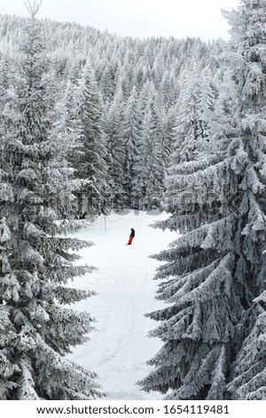 Similar – Skiparadies Tiefschnee