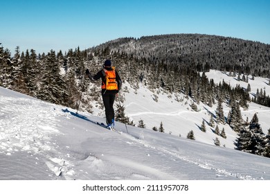 Skier Walking In Snowy Winter Country. Ski Mountaineering In Great Fatra Mountains, Slovakia.