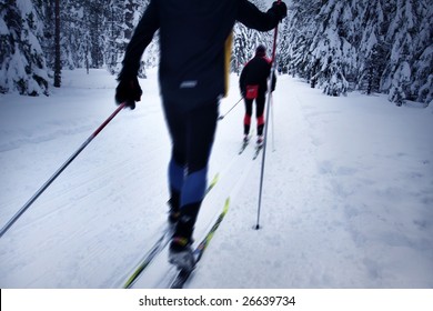skier in a winter forest